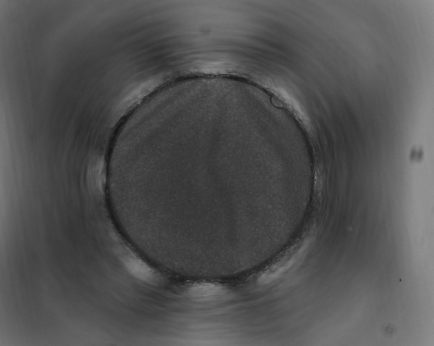 X0000102040397200808081840