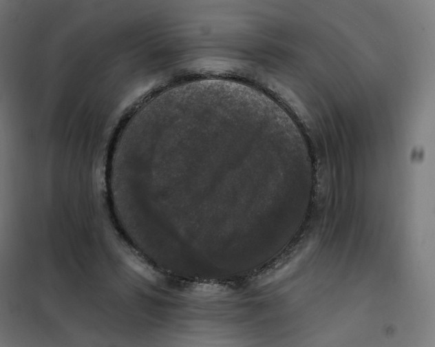 X0000102040399200808081840