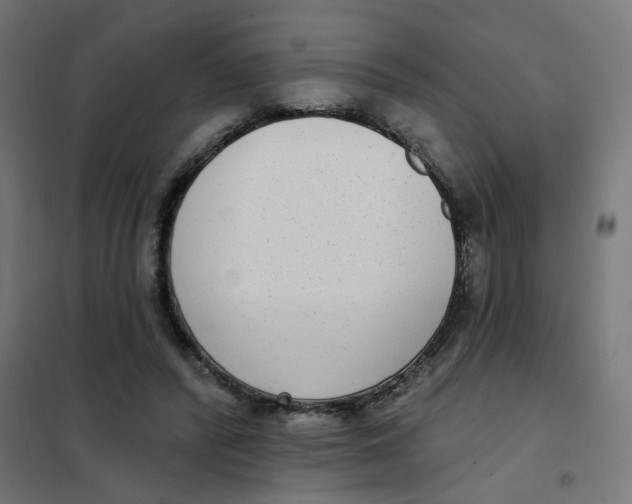 X0000102040400200808081839