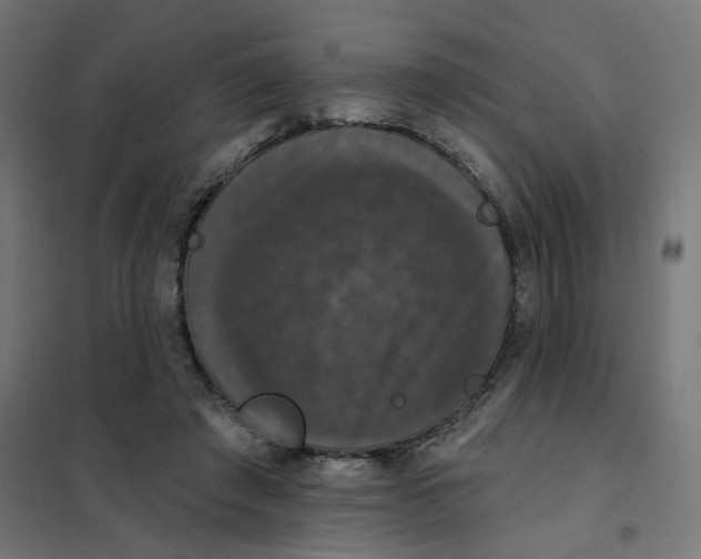 X0000102040401200808081839