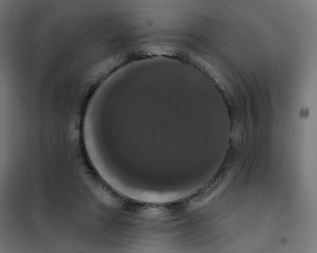 X0000102040402200808081839