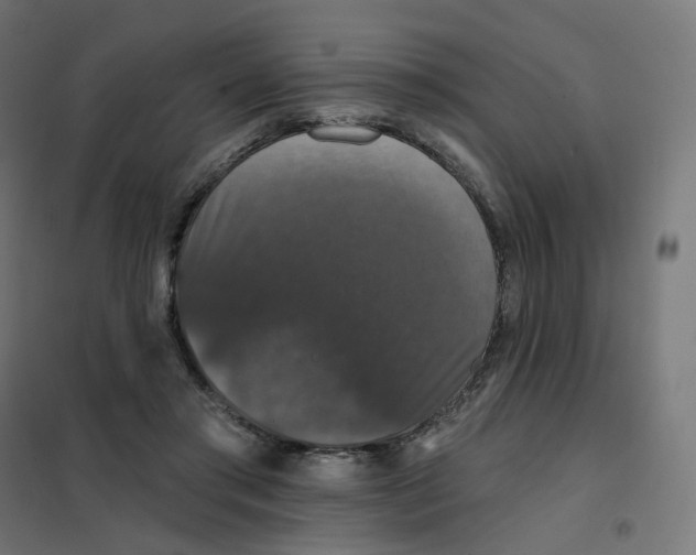 X0000102040405200808081839