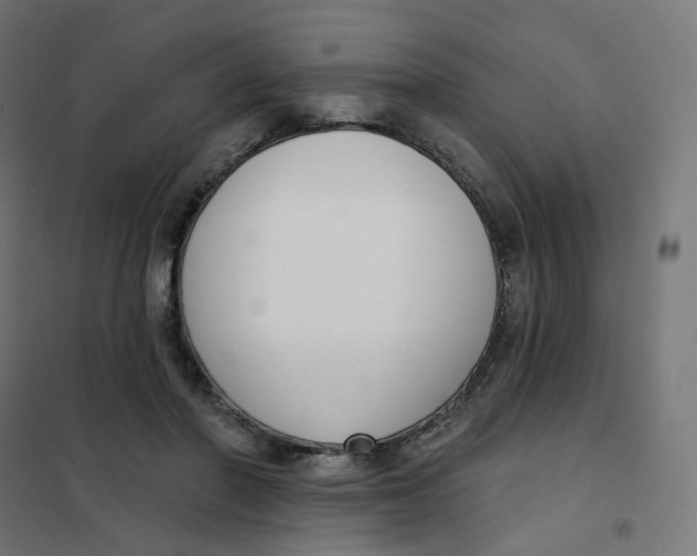 X0000102040406200808081839