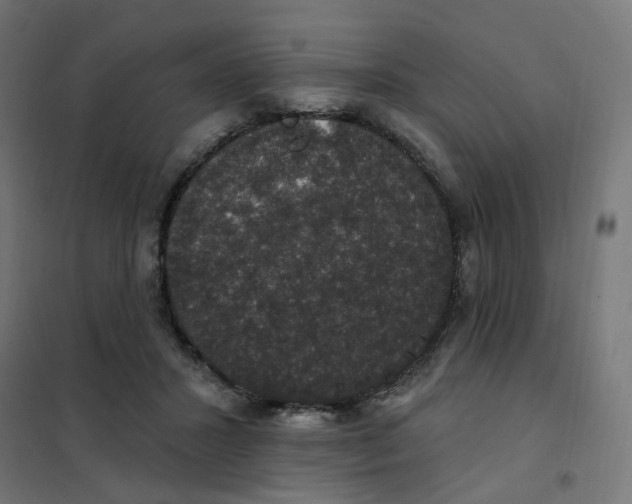 X0000102040407200808081839