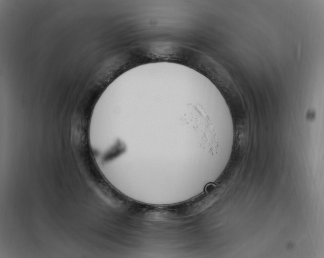 X0000102040408200808081839