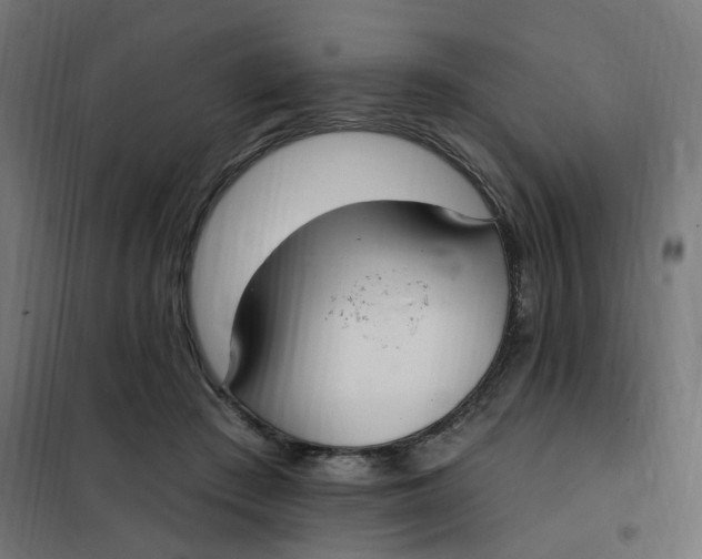 X0000102040409200808081839