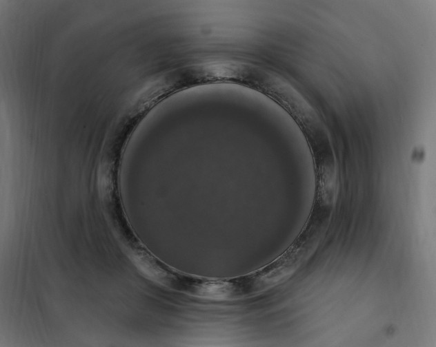 X0000102040410200808081839