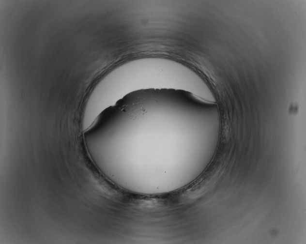 X0000102040411200808081839