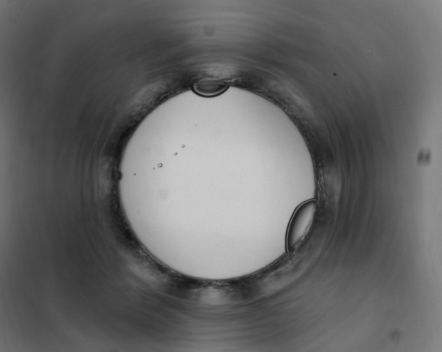 X0000102040412200808081839