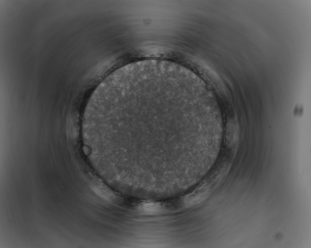 X0000102040413200808081839