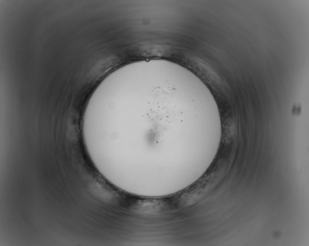 X0000102040414200808081839