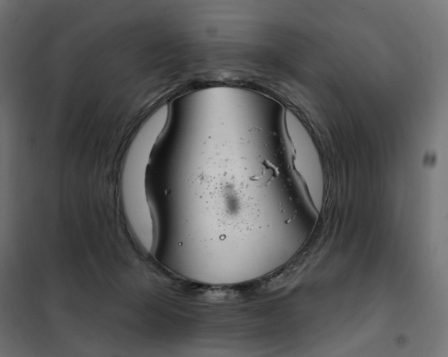 X0000102040415200808081839