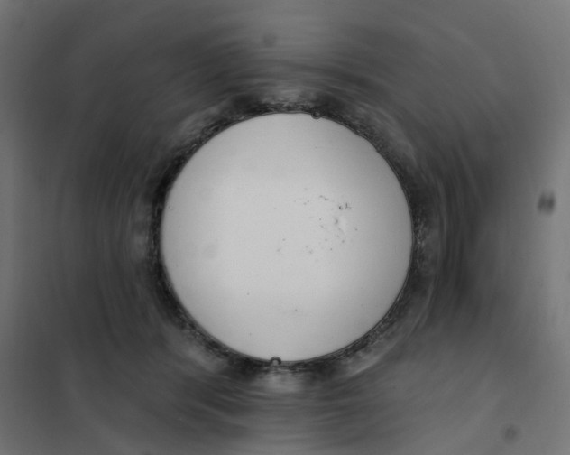 X0000102040416200808081839