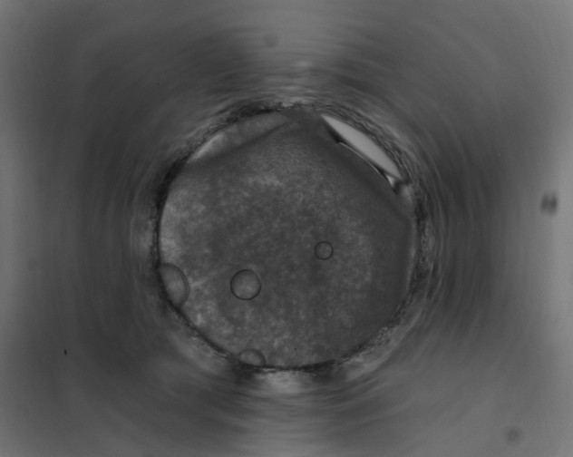 X0000102040417200808081839