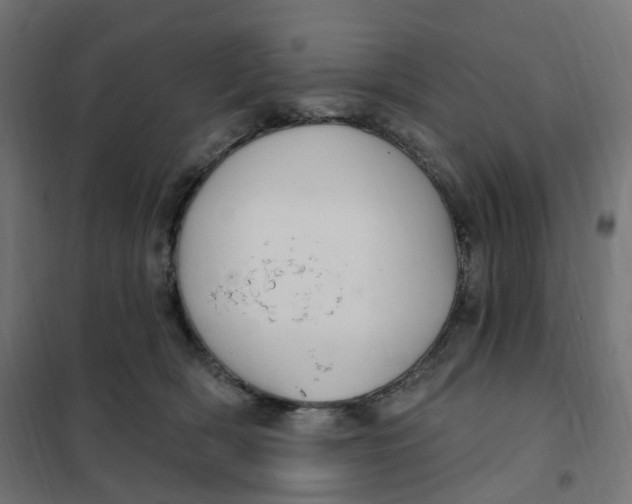 X0000102040418200808081839