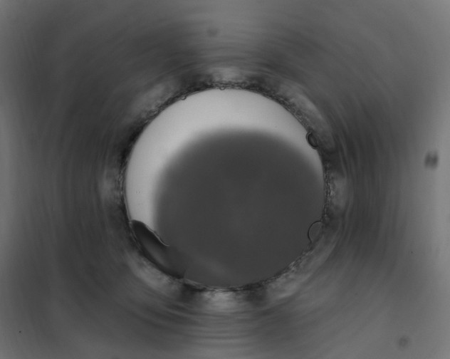 X0000102040419200808081839