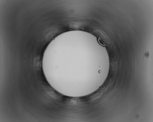 X0000102040420200808081839