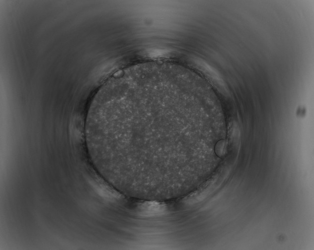 X0000102040421200808081839