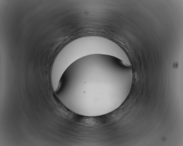 X0000102040423200808081839