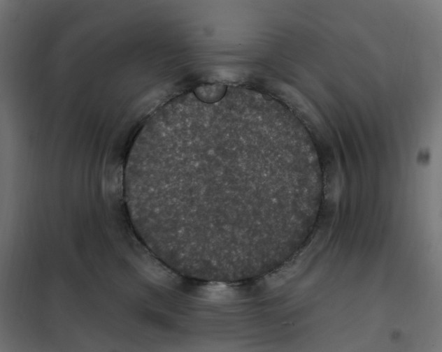 X0000102040425200808081839