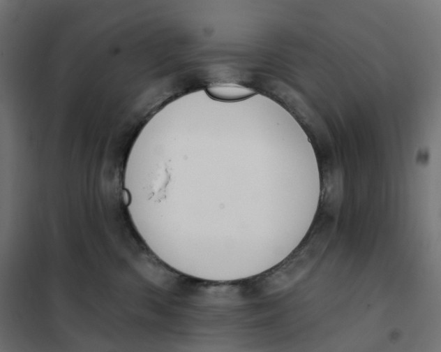 X0000102040426200808081839