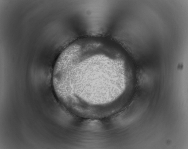 X0000102040427200808081839