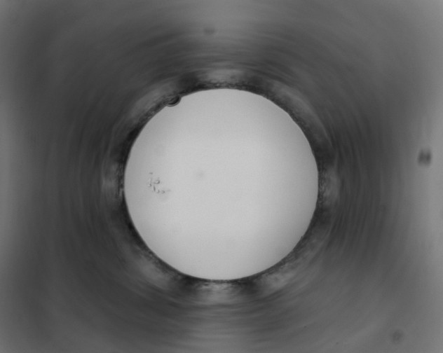 X0000102040428200808081839