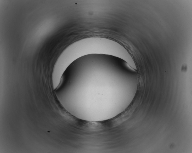 X0000102040429200808081839