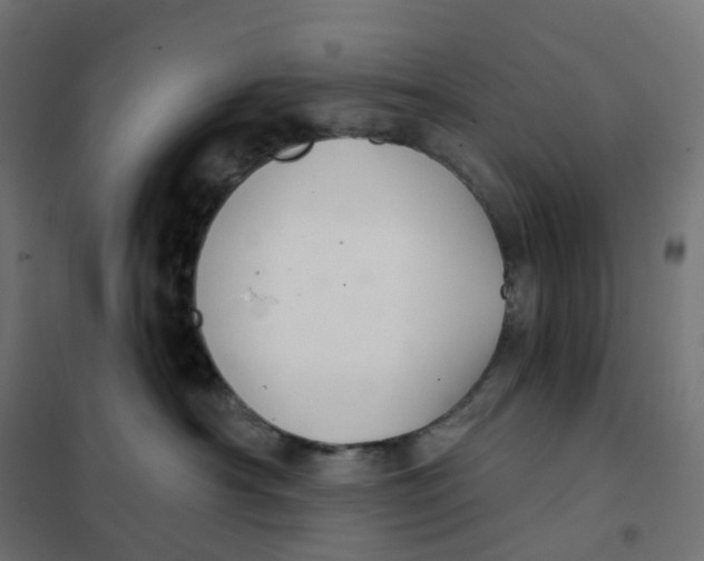 X0000102040430200808081839