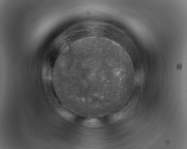 X0000102040431200808081839