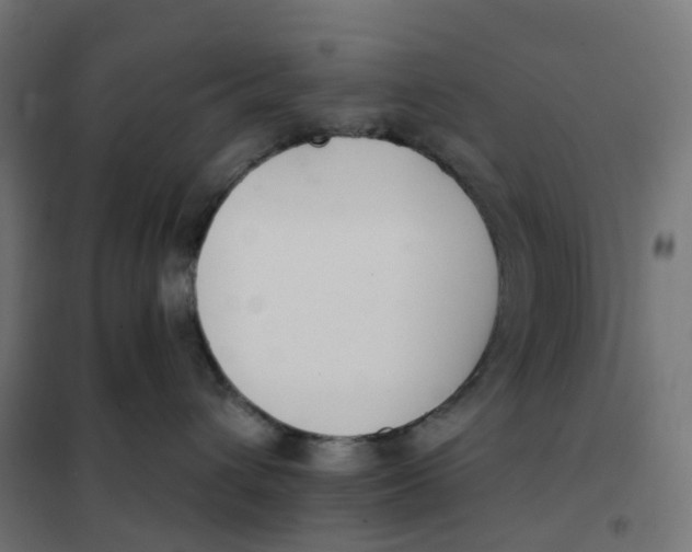 X0000102040432200808081839