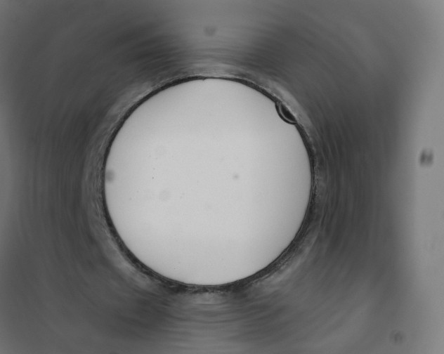 X0000102040433200808081838