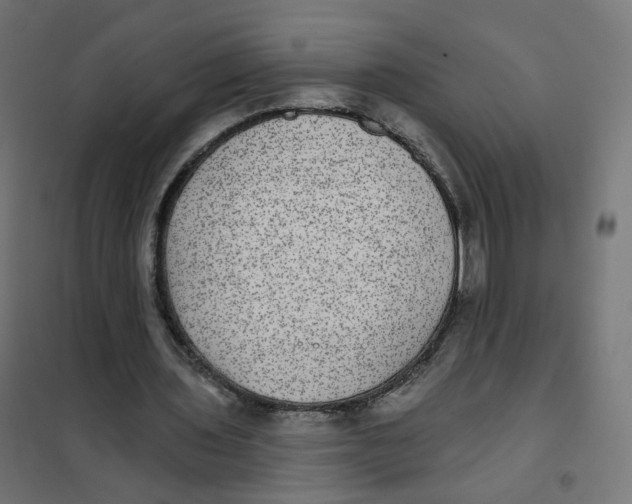 X0000102040435200808081838