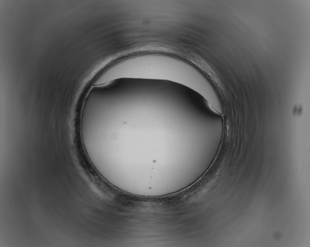 X0000102040436200808081838