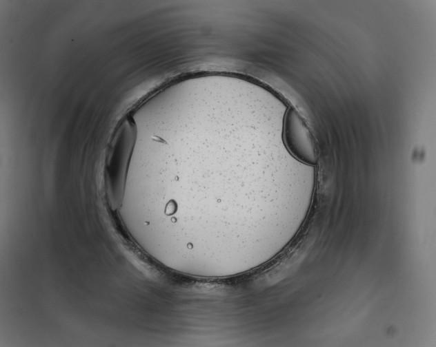 X0000102040437200808081838