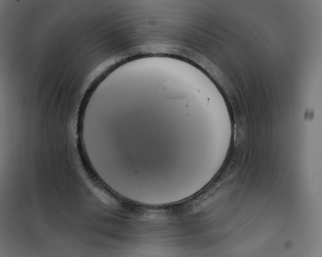 X0000102040438200808081838