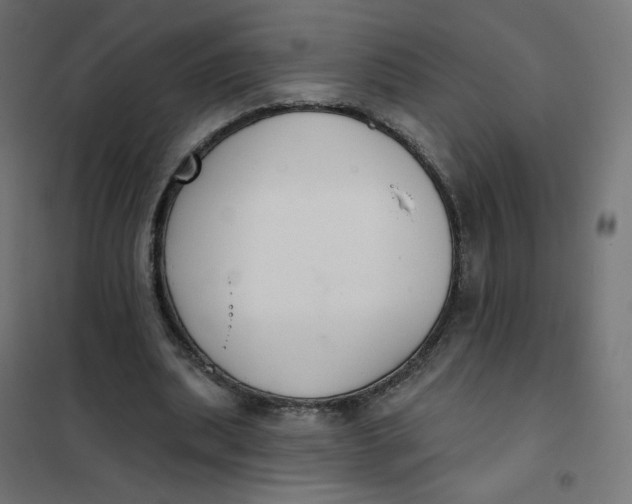 X0000102040439200808081838