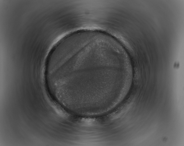 X0000102040440200808081838