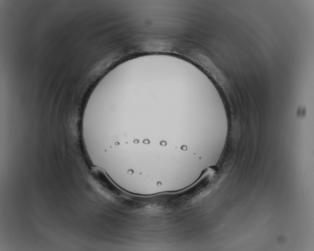 X0000102040441200808081839