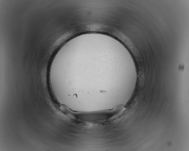 X0000102040442200808081839