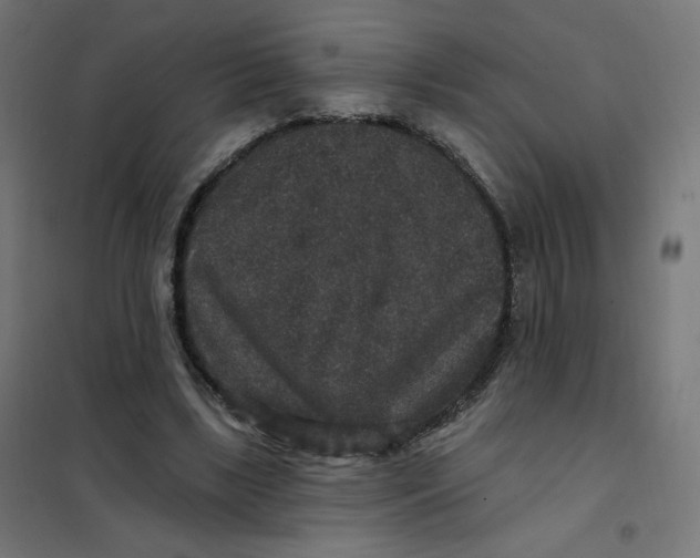 X0000102040443200808081839