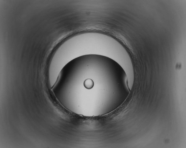 X0000102040444200808081839