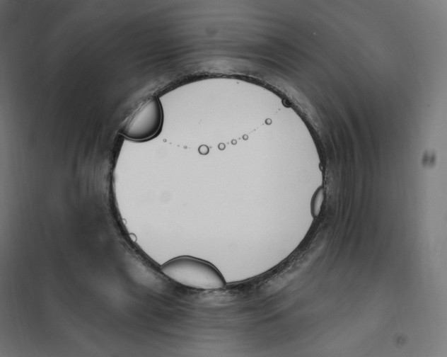 X0000102040445200808081839