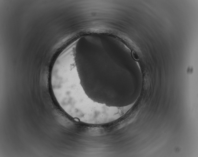 X0000102040446200808081839