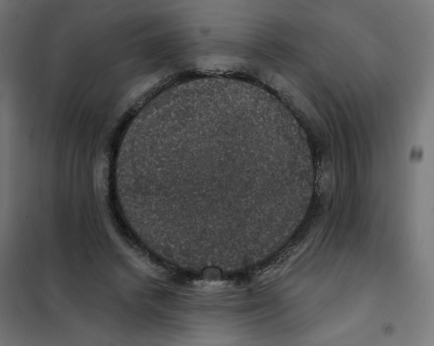 X0000102040448200808081839