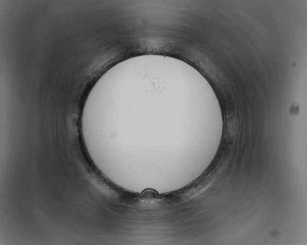 X0000102040450200808081839