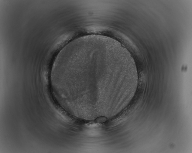 X0000102040452200808081839