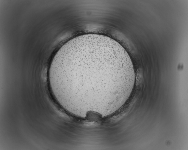 X0000102040454200808081839