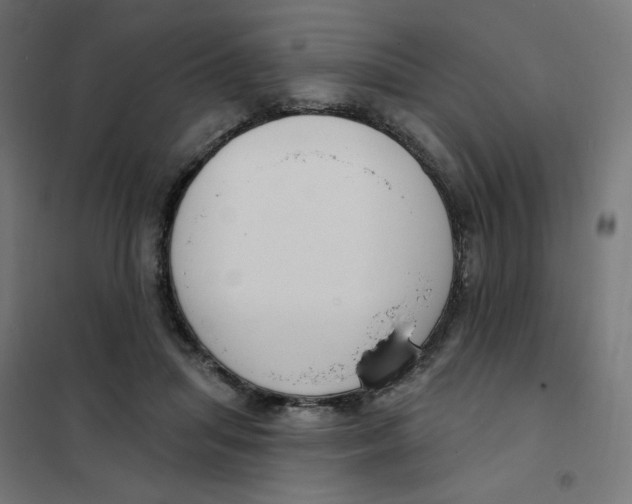 X0000102040455200808081839