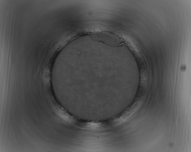 X0000102040457200808081839